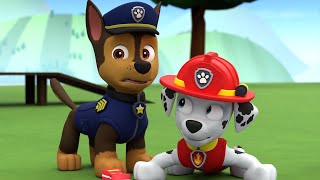 PAW Patrol Marshalls Juicebox Wipeout Fan Animation [upl. by Aerdied]