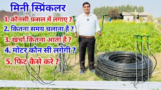 खुद सीखिए मिनी स्प्रिंकलर को किस फसल में कितने समय चलाना चाहिए  minisprinkler microirrigation [upl. by Frulla]