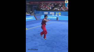 Nan quan wushu kungfu 2024 china [upl. by Aicertal]