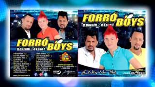 Forró Boys Vol 04  O Novo Som Lançamento [upl. by Neilla]