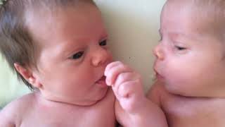 Witness the purest love Newborn twins bond twinbabies newborntwins [upl. by Lananna]