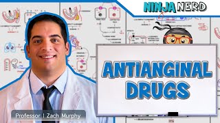 Antianginal Drugs [upl. by Jodi]