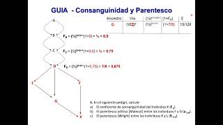 Ejercicio5 Consanguinidad [upl. by Eisiam]