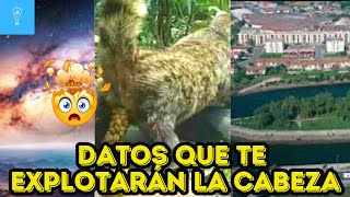 25 Curiosidades que te Dejan con la Boca Abierta 4 [upl. by Horne748]