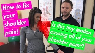 Shoulder Pain Fix For Bicep Tendon FAST  Chiropractor Friendswood [upl. by Jessy881]