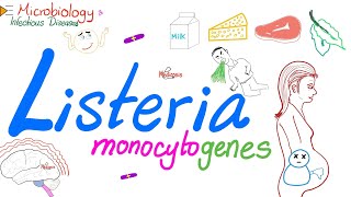 Listeria monocytogenes Characteristics  Microbiology 🧫 amp Infectious Diseases [upl. by Nehgam131]