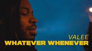 Valee  quotWhatever Wheneverquot Documentary [upl. by Ahkihs246]