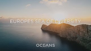 Europes Sea of Diversity I OCEANS searchforhope I Episode 1 [upl. by Heydon]