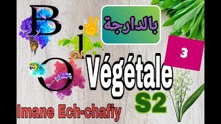 cours de biologie vegetale S2 les thallophytes3eme partie [upl. by Clementi623]