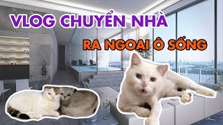 Vlog chuyển về nhà mới của May July và No chuyển thật  malygaugau [upl. by Frangos]