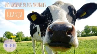 Sonidos de Animales de Granja para bebés y niños [upl. by Anan720]