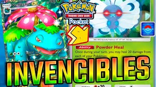 INVENCIBLES EN RANKEO🌿Venasaur X Butterfree🌿 [upl. by Lati]