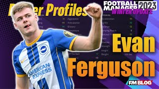 Evan Ferguson  Player Profiles 10 Years In  FM23 [upl. by Jezreel418]