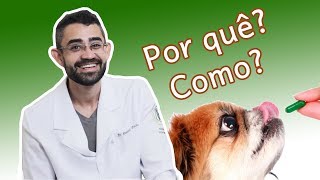 Dica veterinária 2  Vermifugação [upl. by Nyllaf877]