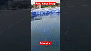 Pond liner Setup Biofloc pondliner shorts viralvideo fishing fishfarming [upl. by Wolbrom]