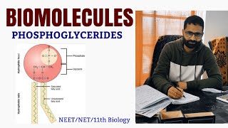 PHOSPHOGLYCERIDESGLYCEROPHOSPHOLIPIDSLIPIDSBIOMOLECULESBIOCLASSES [upl. by Nitsrek]