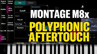 Montage M8x polyphonic aftertouch [upl. by Northway427]