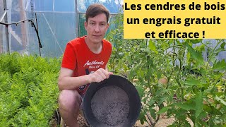 Les cendres de bois un engrais gratuit et efficace pour tous vos légumes du potager [upl. by Merkle]