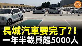 長城汽車陷「惡意裁員」風波：一年半裁掉5465人，員工權益遭質疑 [upl. by Iorgos]