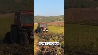 TÜMOSAN 8095 music farming keşfet tarım tümosan [upl. by Odnolor50]