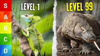 QUEL est le LÉZARD Le Plus 💥 PUISSANT sur TERRE tier list [upl. by Hilar642]