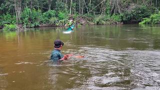 Pescando con arpón robalos y cocinando aventura de pesca por hermoso rio [upl. by Cleopatra828]