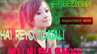 New kurukh song Hai Reyo Toatali muli nu Eka Sundar peloo Dj Praveen [upl. by Aenel]