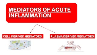 Mediators of Acute Inflammation [upl. by Hendel]