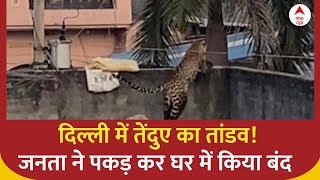 Delhi बुराड़ी के इस गांव में घुसा तेंदुआ लोगों में आतंक का माहौल  Leopard Attack [upl. by Tillinger]