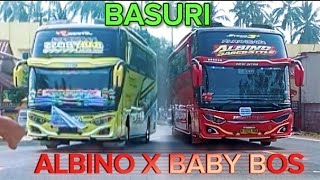 ALBINO x BABY BOSS bus basuri horts bustelolet tunggaljaya asyrof [upl. by Rosalynd324]