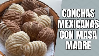 Receta de conchas con masa madre panmexicano masamadre sourdough [upl. by Eliades]