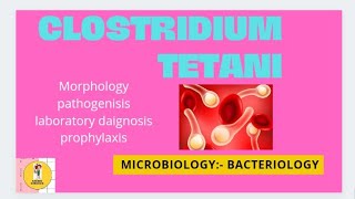 Clostridium tetani  Microbiology Bacteriology [upl. by Kallista]