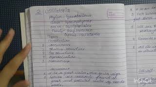 general characteristics of oscillatoria and notes bsc 1st year [upl. by Toscano946]