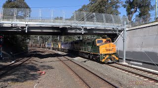 Australian diesel locomotives C505 C506 C507 amp C510  heavy coal drags  Beecroft  late 2016 [upl. by Niad]