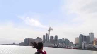 Meteor hits CN Tower Toronto [upl. by Vyse533]