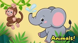 Animal song  Movement song for preschoolers kids songs  Nursery rhymes preschoollearning [upl. by Vanda239]