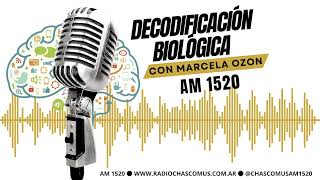 Decodificación Biológica Marcela Ozon [upl. by Eisset]