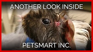 Another Look Inside PetSmart Inc A PETA Eyewitness Exposé [upl. by Debo]