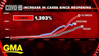 COVID19 hotspot states urged to pause reopenings l GMA [upl. by Goraud497]