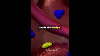 Do you knowUnderstanding tRNA mRNA and rRNA  CHEMIWIZARD🔬 trendingshortschemistry chemiwizard [upl. by Christen]