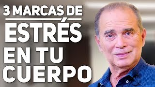 3 marcas del estrés en tu cuerpo en VIVO con Frank Suárez [upl. by Lednor]