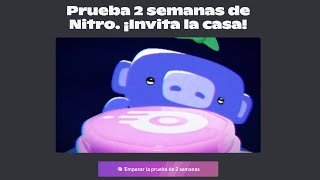 Prueba Discord Nitro Gratis [upl. by Ardnuahs]