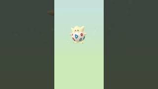 How many eggs to hatch a shiny Ep 06 pokemongo pokemonshort short [upl. by Gladis550]