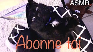 ASMR  Chat qui ronronne ronronnement de chat Ronron thérapie Relaxation maximum [upl. by Danica]