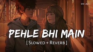 Pehle Bhi Main Slowed  Reverb  Vishal Mishra  Animal  SR Lofi [upl. by Nerrawed345]