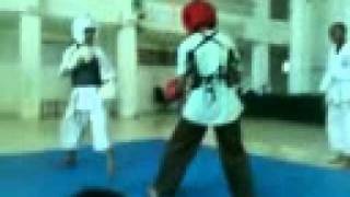 Kempo vs silat [upl. by Leavy927]