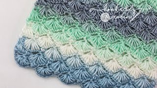 Crochet Puff Shell Star Stitch Great for Scarves or Blankets  Stunning Textured Stitch [upl. by Clementi466]