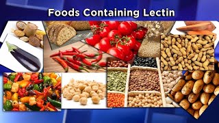 Lectins The New Diet Enemy [upl. by Yregerg]