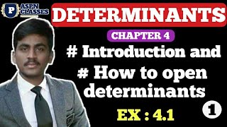 Determinants class 12  Introduction and ex 41chapter 4 Determinantsby P NBiradar [upl. by Blader]