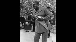 Albert King  Grant Park  Chicago Blues Festival  61168 SBD  Full Concert [upl. by Cory397]